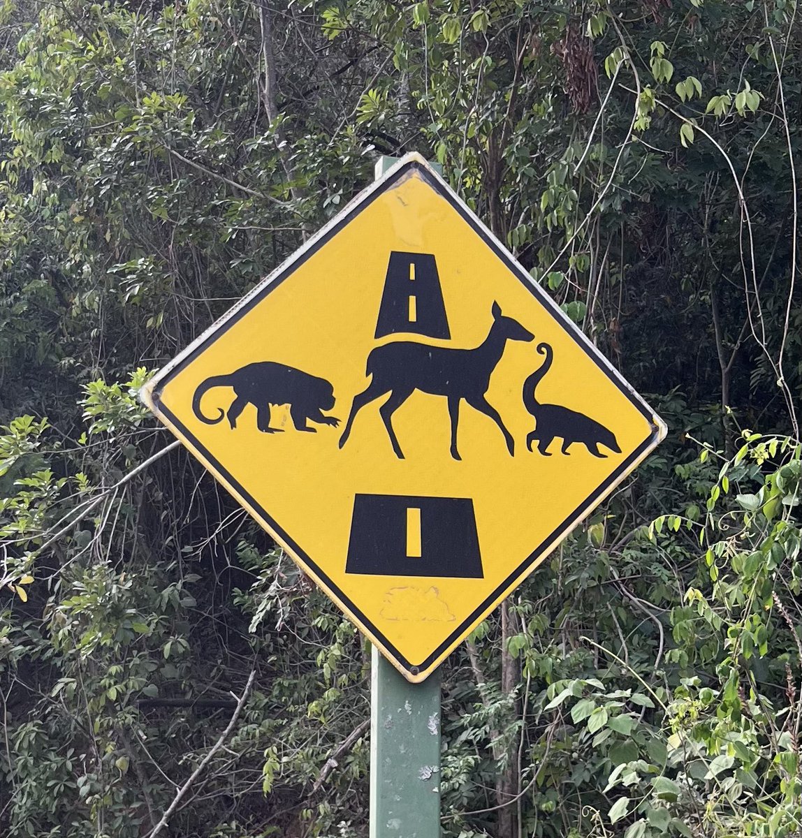 RWMartin63's tweet photo. When driving in Costa Rica, there are different animals to watch for. We have deer crossings. They have more variety! If a sloth did cross, it would be a slow process to proceed. https://t.co/cNKlPj1Ma4
