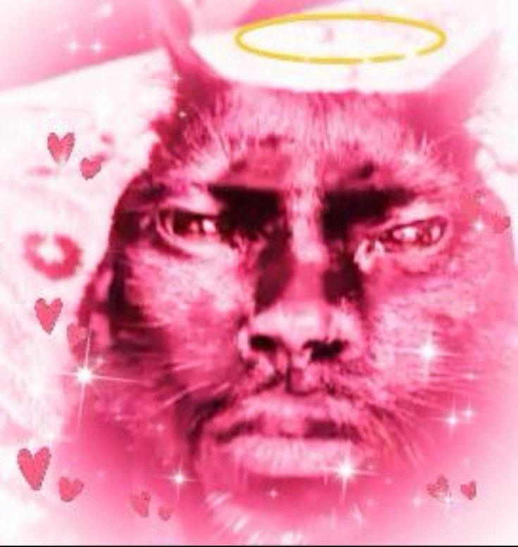 lylah 𝜗𝜚 tweet media