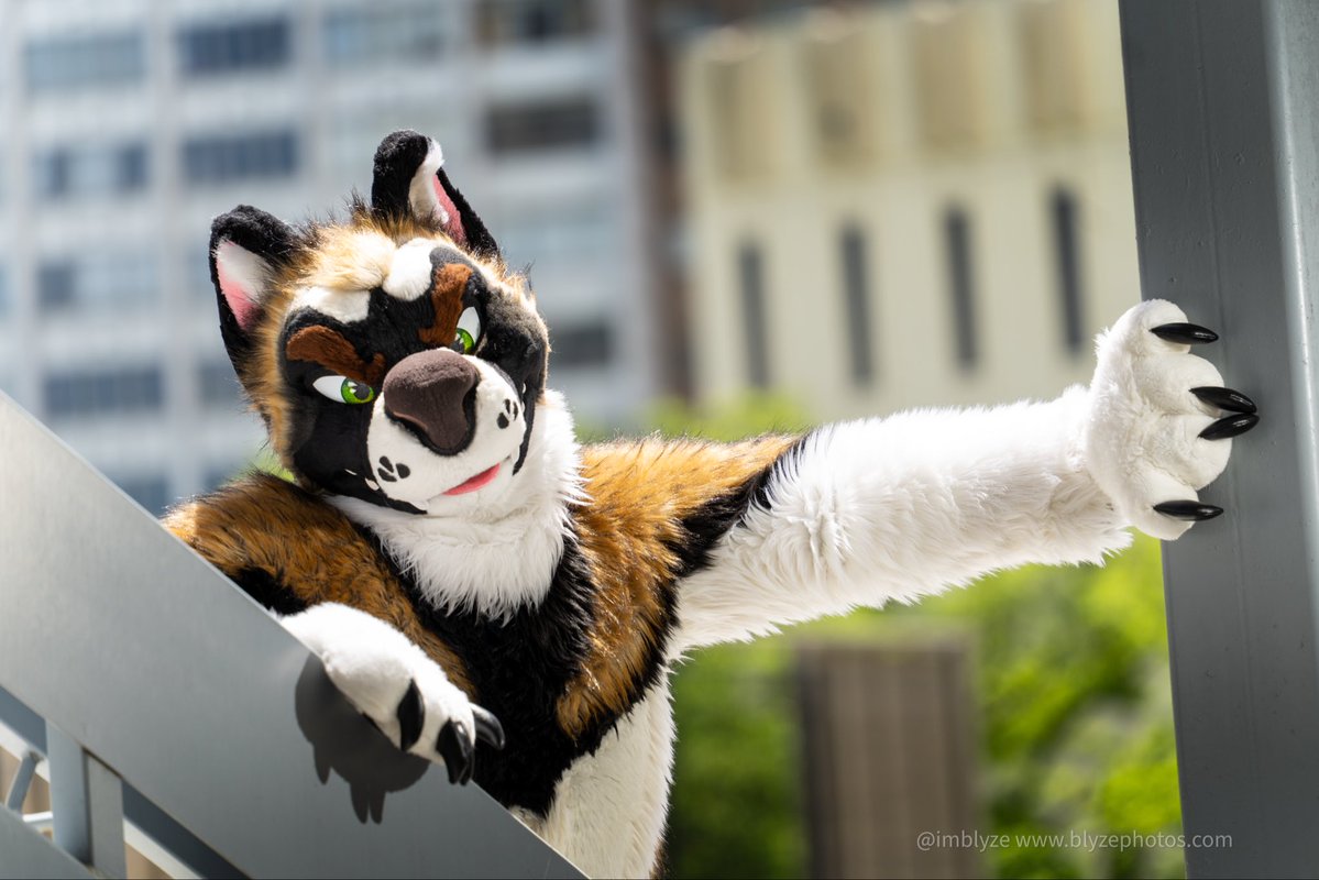 ImBlyze's tweet photo. Posting for AC photo sessions. Anyone wanna be my client? 

Examples below ~ https://t.co/aEblRoJsC5