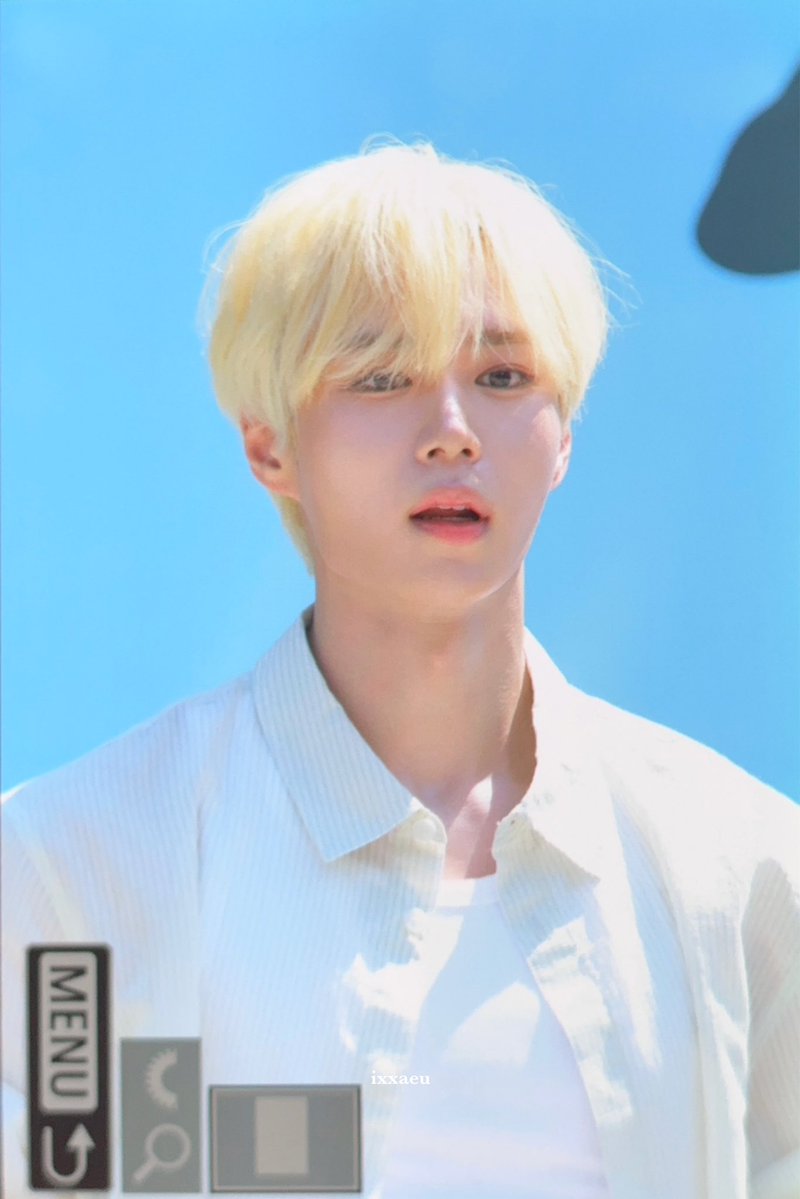 히포 tweet media