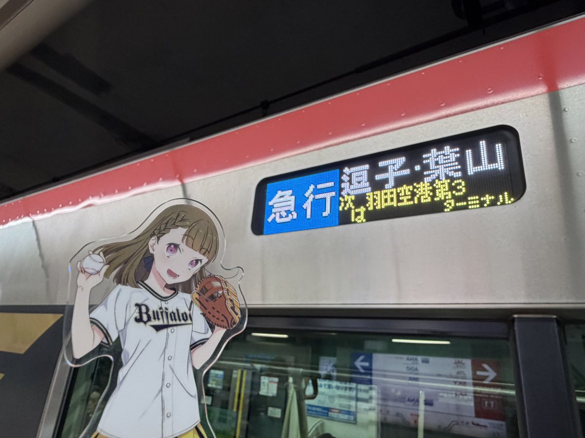 ｻﾞｺﾆｷ (@ks_z52k) / Posts / X