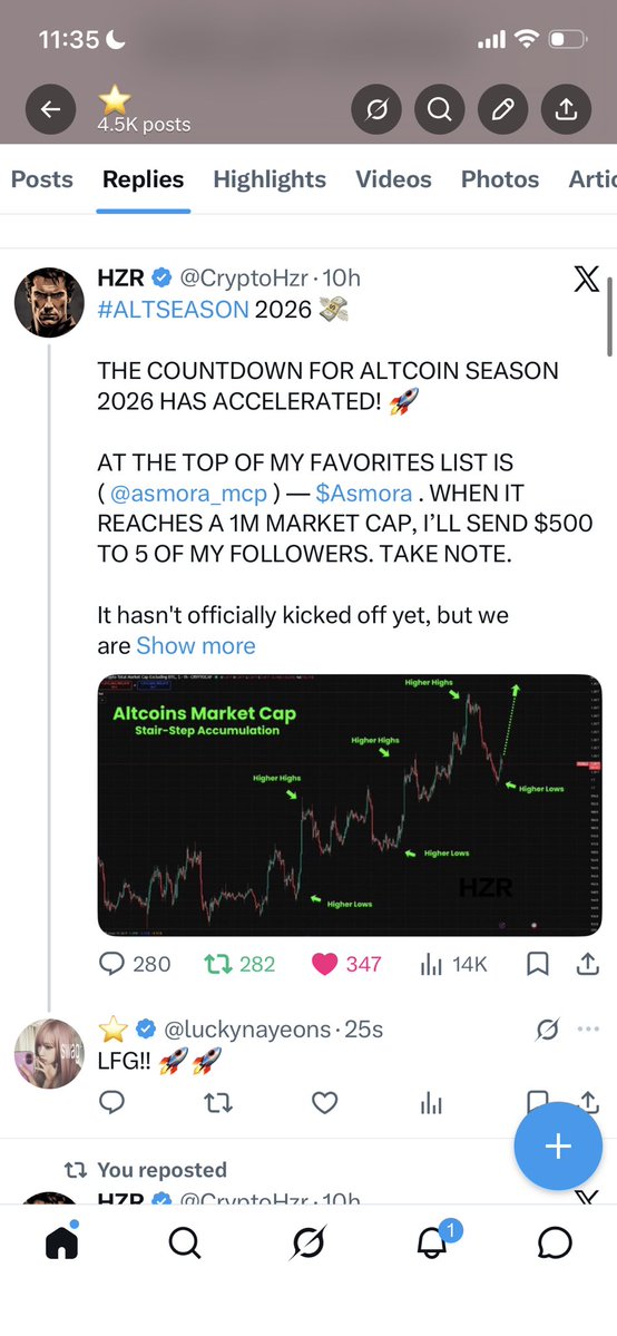 ⭐️ tweet media