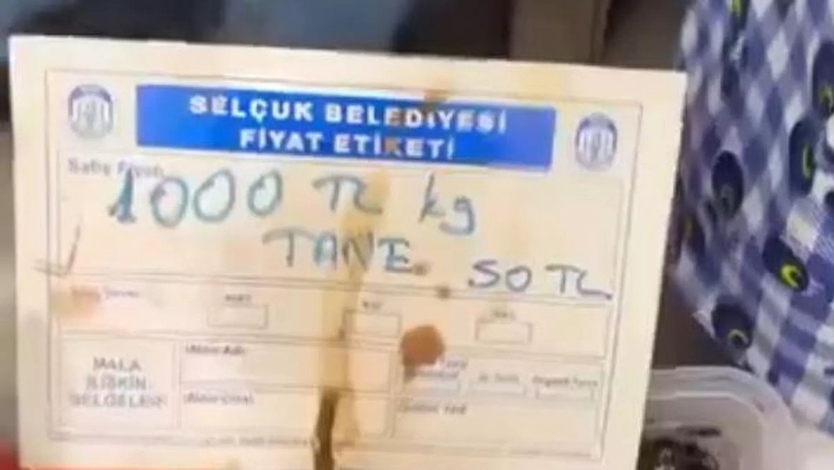Sputnik Türkiye tweet media