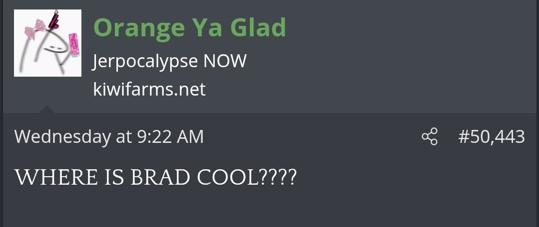 Brad Cool Unlimited tweet media