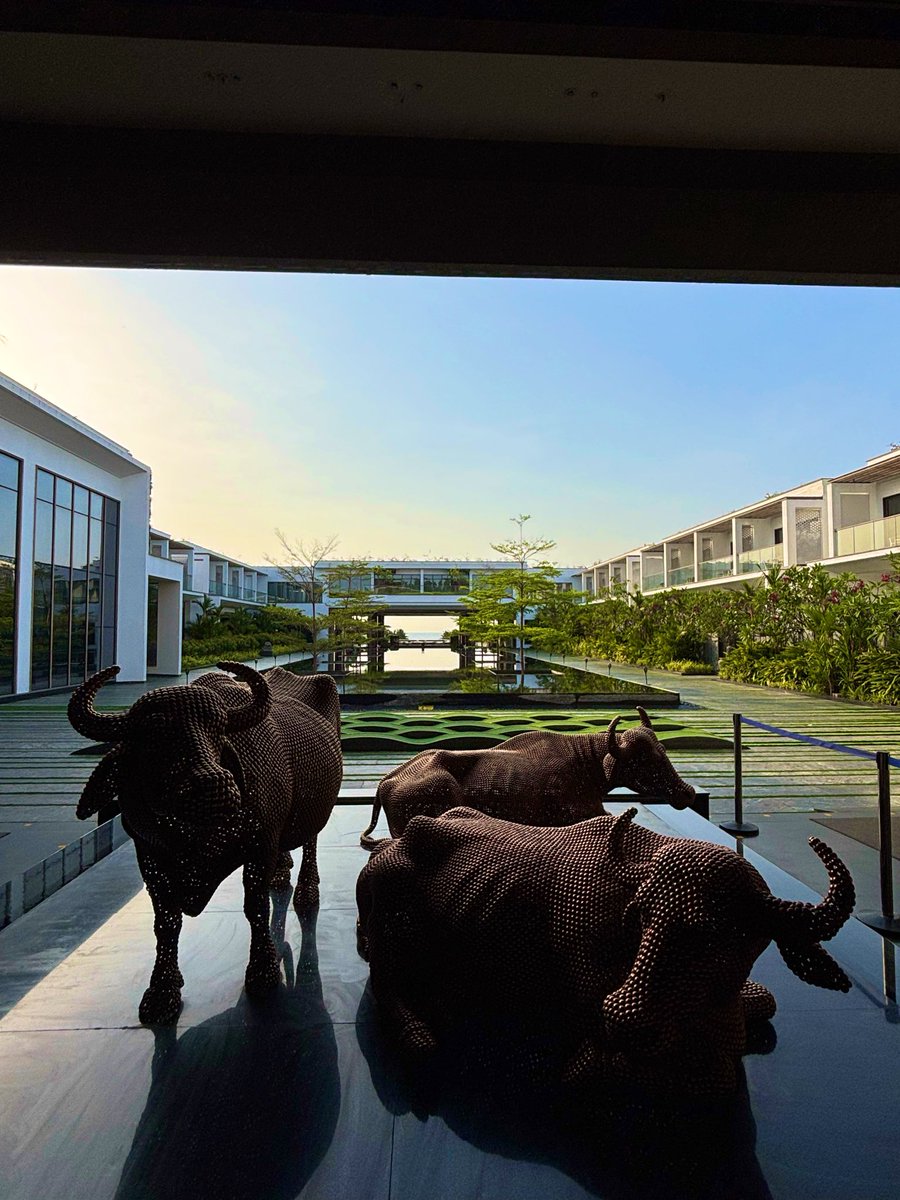 granpycat555's tweet photo. 朝散歩 https://t.co/tz36J7PD3T
