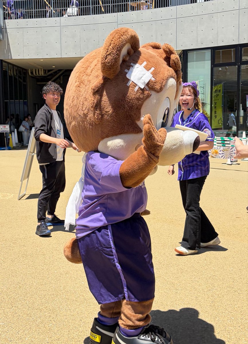kobap105's tweet photo. サンチェ　前節の事故？で包帯姿
#サンフレッチェ広島
#sanfrecce https://t.co/JR3glAer8n