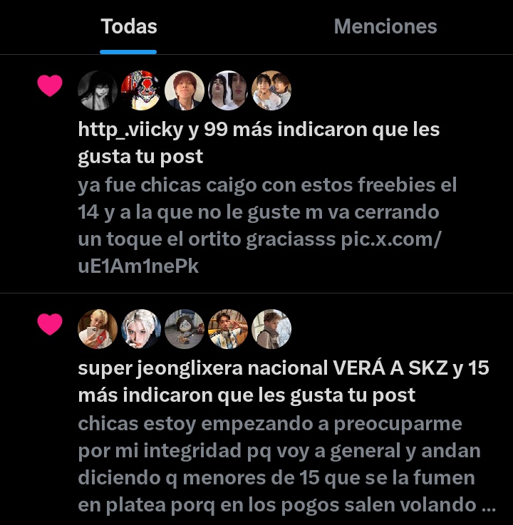 𐐪. lyn 🇦🇷 VA A VER A SKZ tweet media