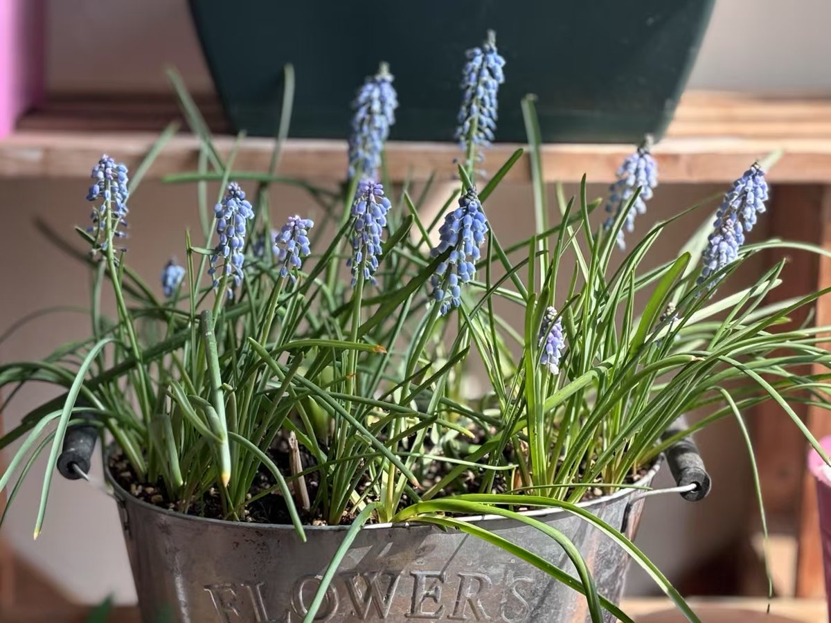 nazigalo's tweet photo. Hey friends! Small daily steps = big health wins  10-min morning stretch, 8 glasses of water, and a 20-min walk after work – these tiny habits keep energy high and stress low. Try one this week! https://t.co/W6qzi8svTO