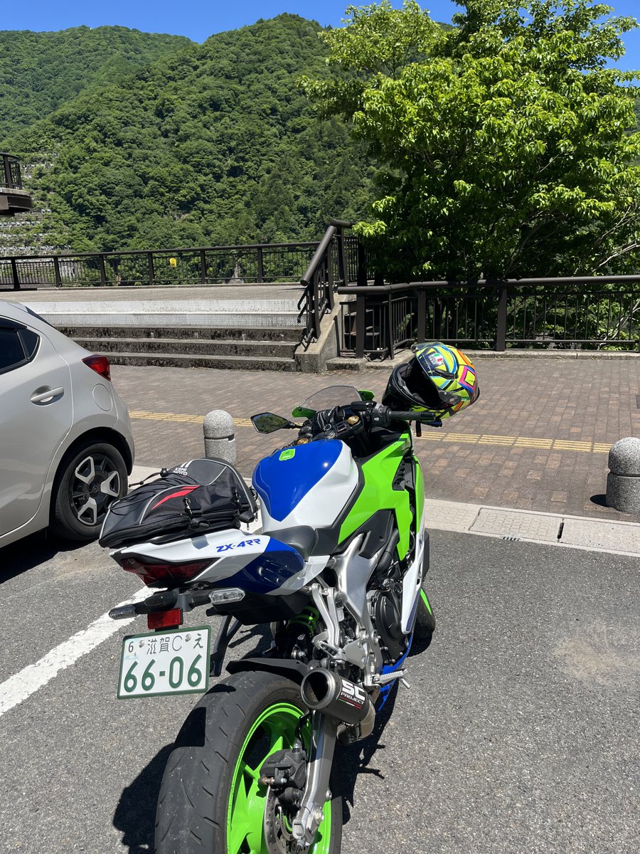 シャチさん (𓃊ↁ冫)ﾆ tweet media