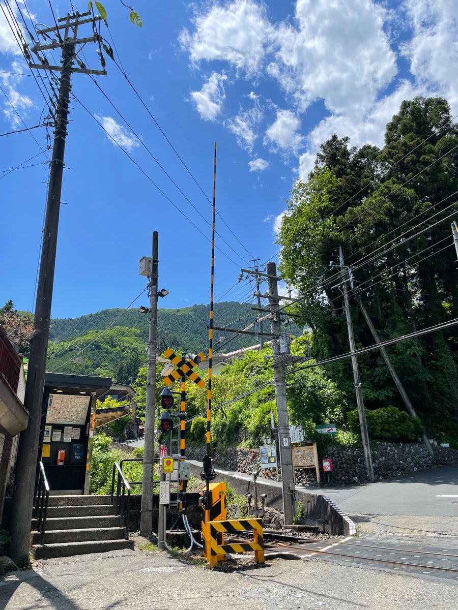 すどを tweet media