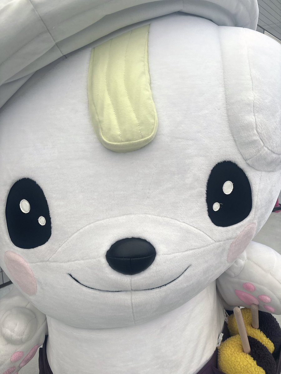 mamekitchen's tweet photo. ご当地キャラ偏愛サミットinごほうび浪漫博TOKYOキターッ✨
ガラポンでくもびぃぬいぐるみ大当たり☁️ https://t.co/mE6De7kKFw