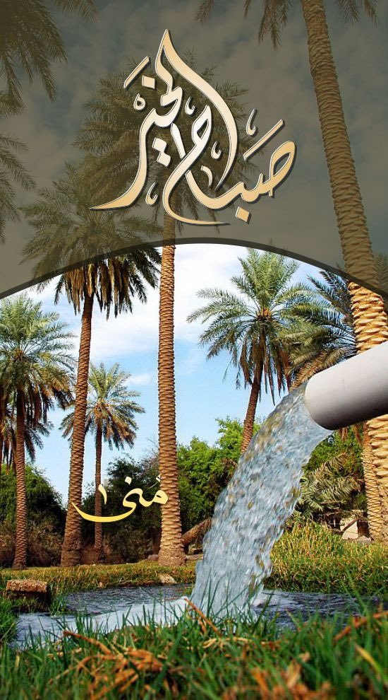 mona60a's tweet photo. ﴿ وَاجْعَلْنَا لِلْمُتَّقِينَ إِمَامًا ﴾ 
ليس شرطا أن تكون إماما في المحراب ، يمكن أن تكون إماما في التسامح والمحبة و البسمة الطيبة ، إماما في البر ، إماما في الصبر ، إماما في صلة الرحم ، إماما في محبة الخير و خدمة الناس .

صباح الخير / 🤍💚 https://t.co/JpKQMfziEA
