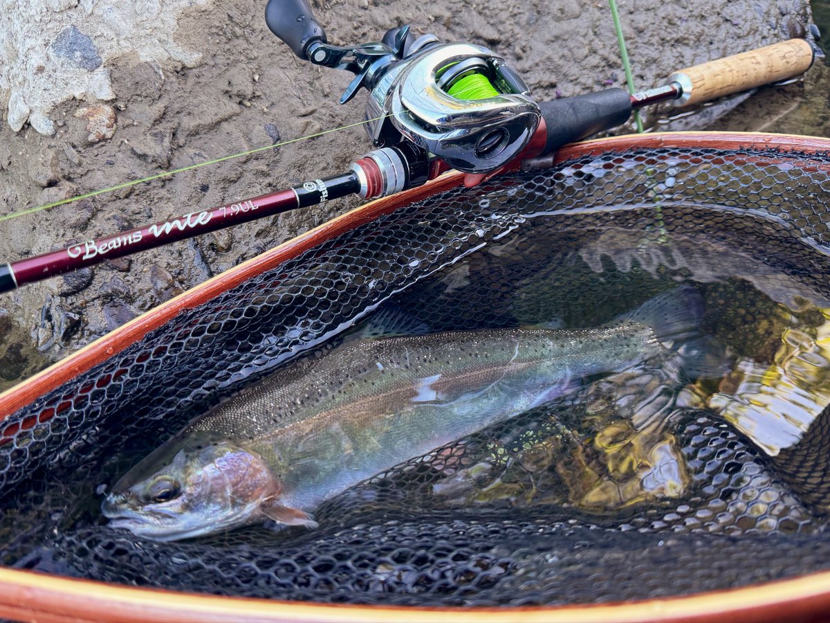 4416Fishing's tweet photo. おはようござい鱒🌈 https://t.co/p18CxnJtRz