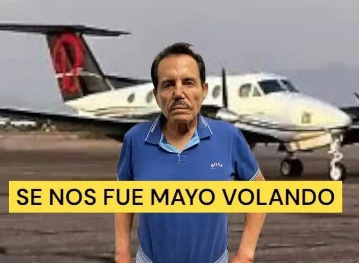Gaby S tweet media