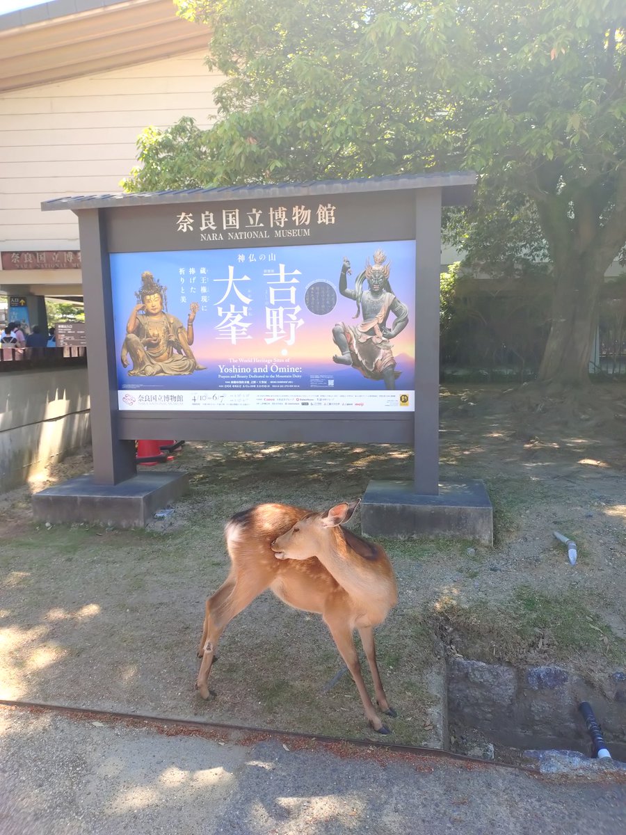 aooni4613's tweet photo. 凄い人やったけれど…
初参戦の次女も…
2回目の私も…
大峯山寺の蔵王権現様が…
レベチの存在と感じました…😅🌸
感謝…💖 https://t.co/VK5mjL22ci