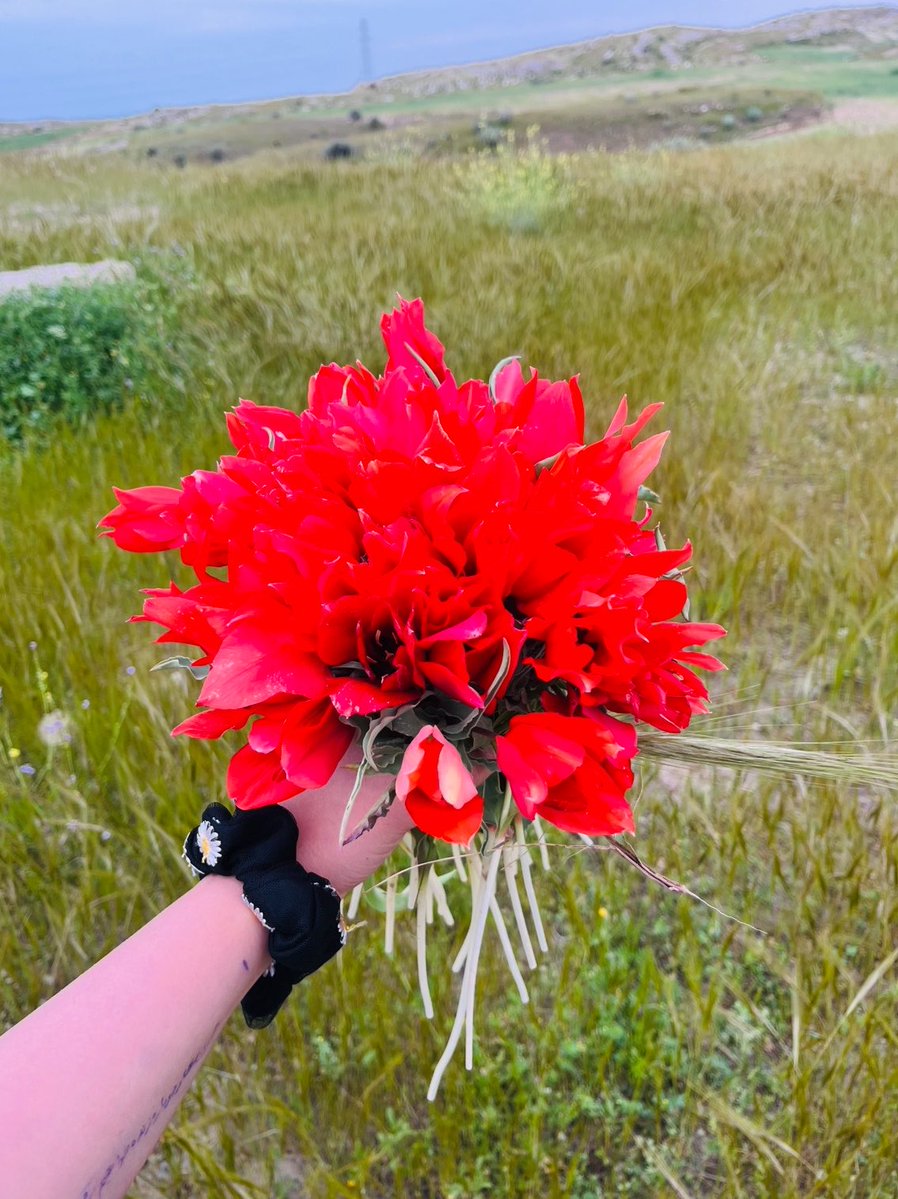 Taanniinn's tweet photo. یکی از تفریحاتم تو دوران جنگ دسته گلای عجیب درست کردن بود 😂🫠 https://t.co/zMiiR3n0pQ
