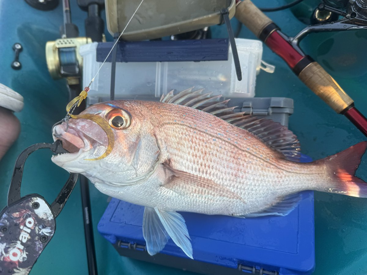 Ackey5D's tweet photo. やっと今年初カヤックで浮いて来ました！ https://t.co/kYmgjrqB8g