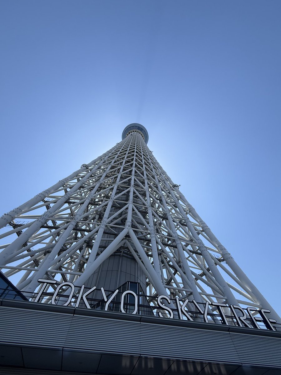 turtle__bump's tweet photo. ニコル！スカイツリーだよ🗼
実は急遽東京来てます。 https://t.co/aOHrUXkhDi