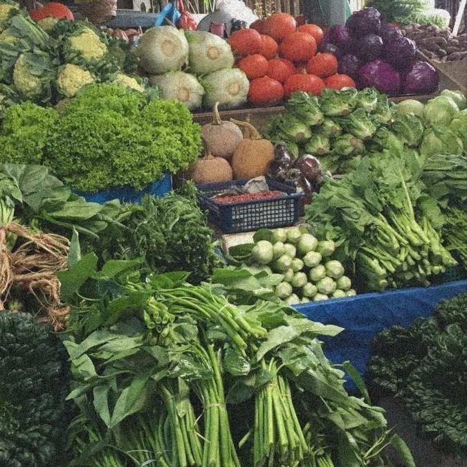 Firstbite2008's tweet photo. #marhoon au

Keseharian Cahya sebagai pengangguran, yang dimanfaatkan sang ibu agar berbelanja sayuran setiap pagi di kios langganannya di pasar, untuk kebutuhan cateringnya. https://t.co/BWDyt6QRPs