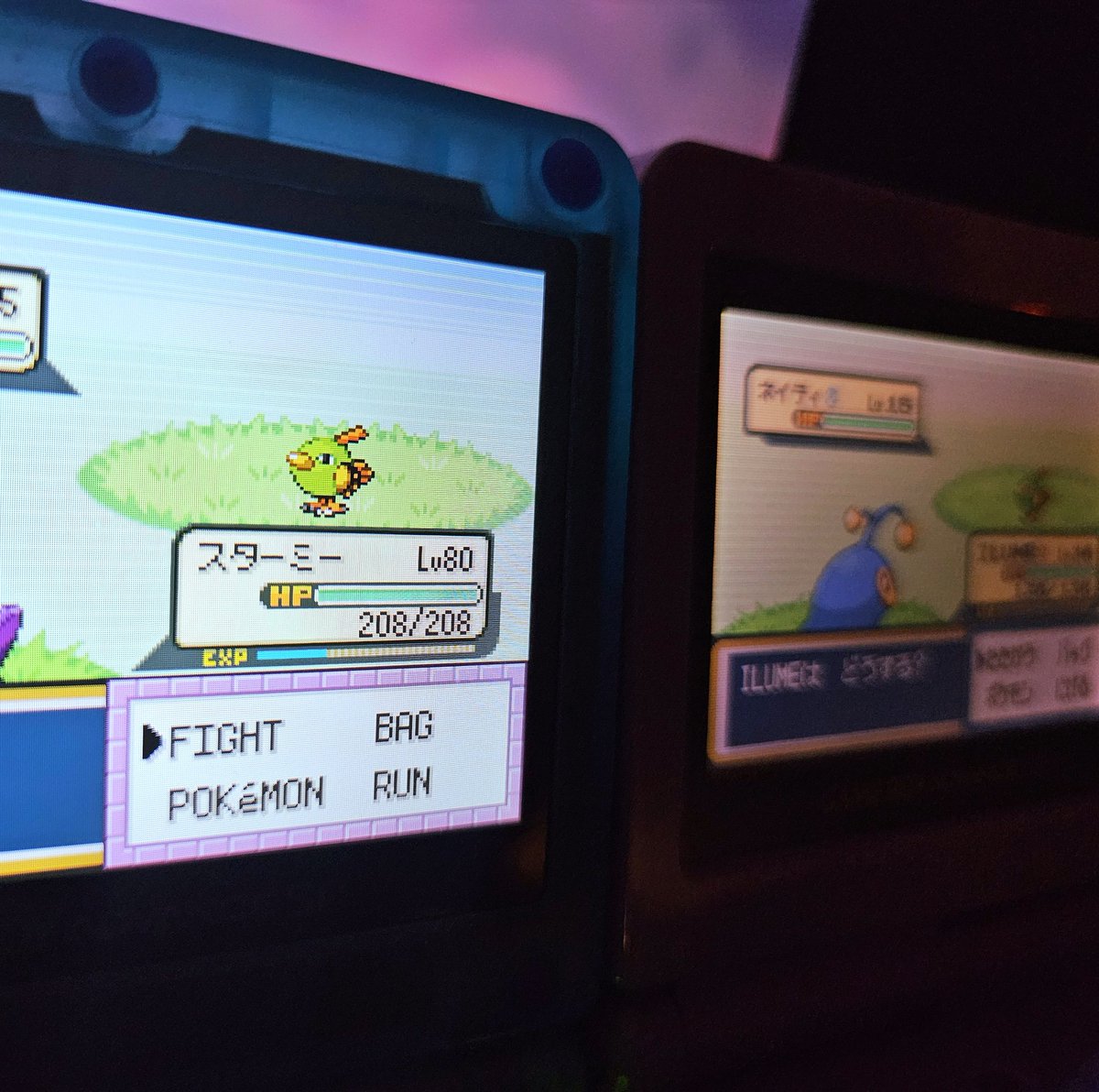 ShiningDanny1's tweet photo. #shinypokemon #natu #shinynatu #frlg #firered #leafgreen #fullodds #gen3 #retro #gbasp #sp #cmod #modded #pokemon #shinylivingdex #livingdex #phase #kanto #8192 #fulloddsshiny https://t.co/Cv1syOsksu