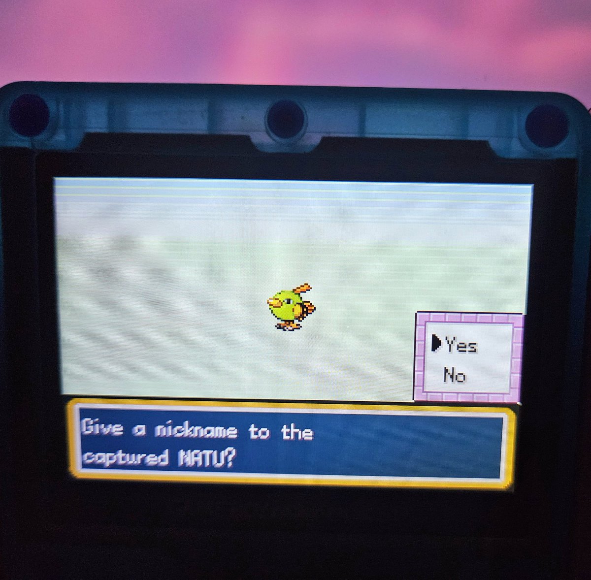 ShiningDanny1's tweet photo. #shinypokemon #natu #shinynatu #frlg #firered #leafgreen #fullodds #gen3 #retro #gbasp #sp #cmod #modded #pokemon #shinylivingdex #livingdex #phase #kanto #8192 #fulloddsshiny https://t.co/Cv1syOsksu