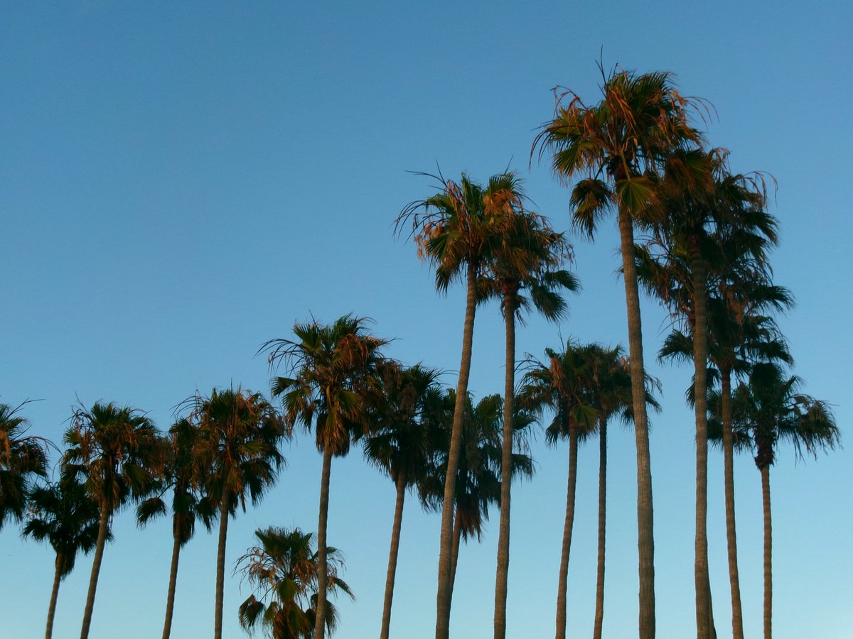 grcelivia's tweet photo. EVERYONE GET THE KODAK CAMERA RIGHT NOW ITS SO WORTH IT GUYS https://t.co/22w3opSFKV