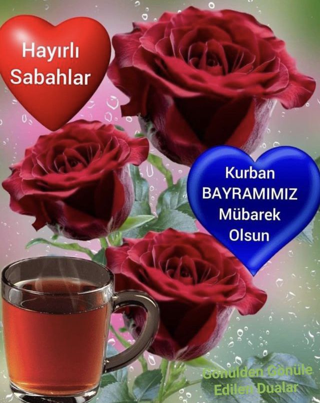 Celalettin can Erdem tweet media
