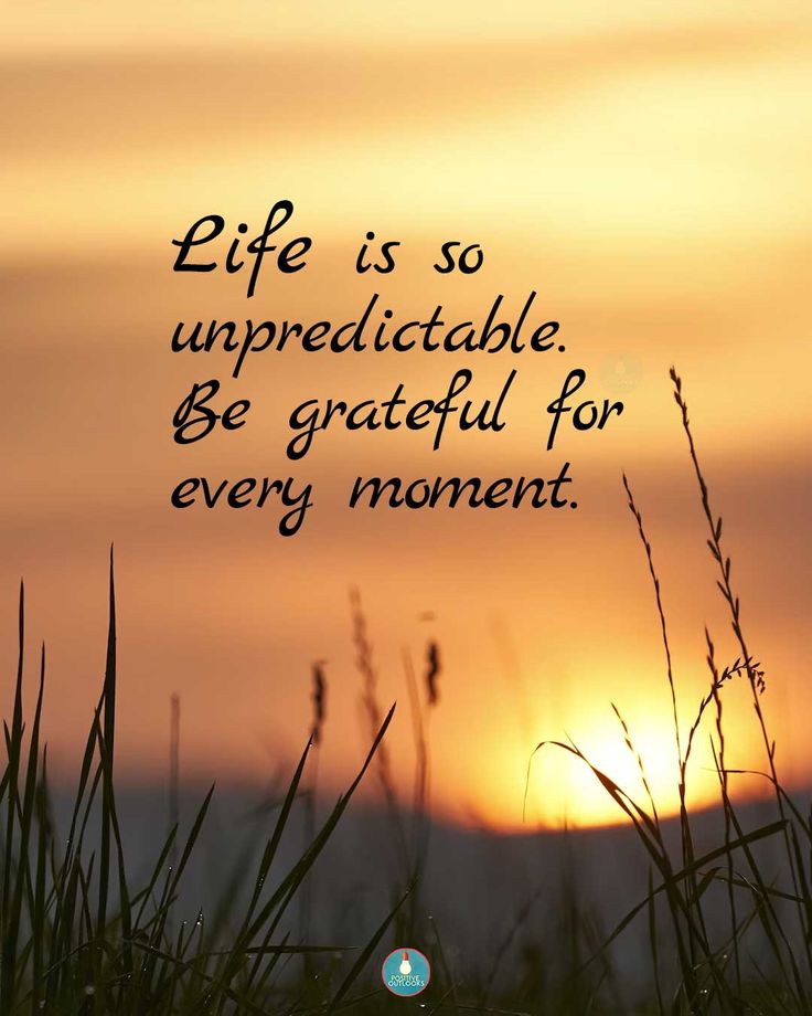 MQUOTESLIFE's tweet photo. You don't need a perfect plan. You need a grateful heart 🌾
Unpredictable life > Perfect plan, every time.
#Grateful #LifeLessons #MaskVibes #Mindfulness #SunsetVibes https://t.co/lLrDh1FWYd