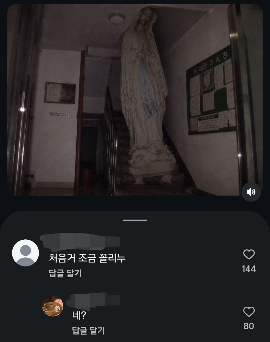 모먹 tweet media