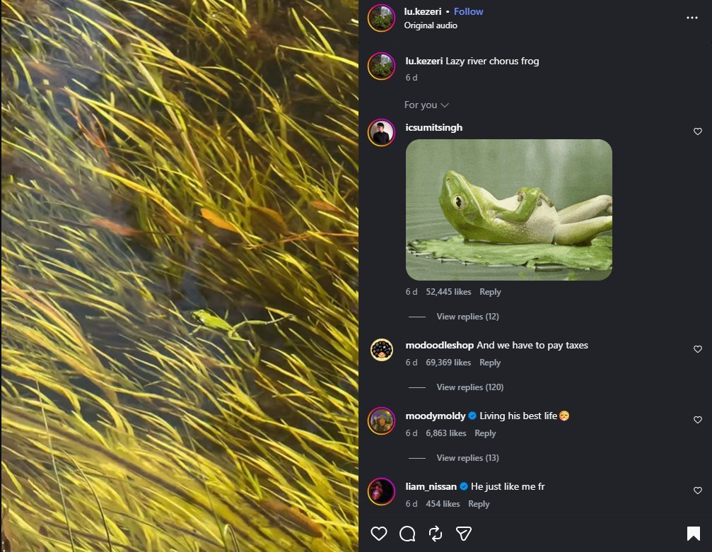 PhilizoCrypto's tweet photo. Found a GIGA runner!!

This Frog is breaking the internet for being so chill,
100 MILLION+ views in 6 days, 4 MILLION likes

Everyone commenting "He's just like me" and making memes of the frog.

Perfect representation of a chill life and low cortisol
https://t.co/OPQ0mhb4wO https://t.co/U8210nzyZg