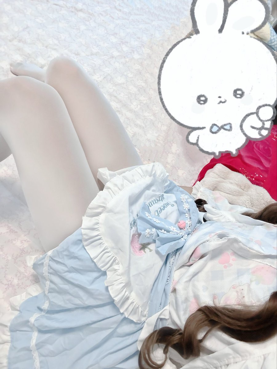 蛋蛋 tweet media