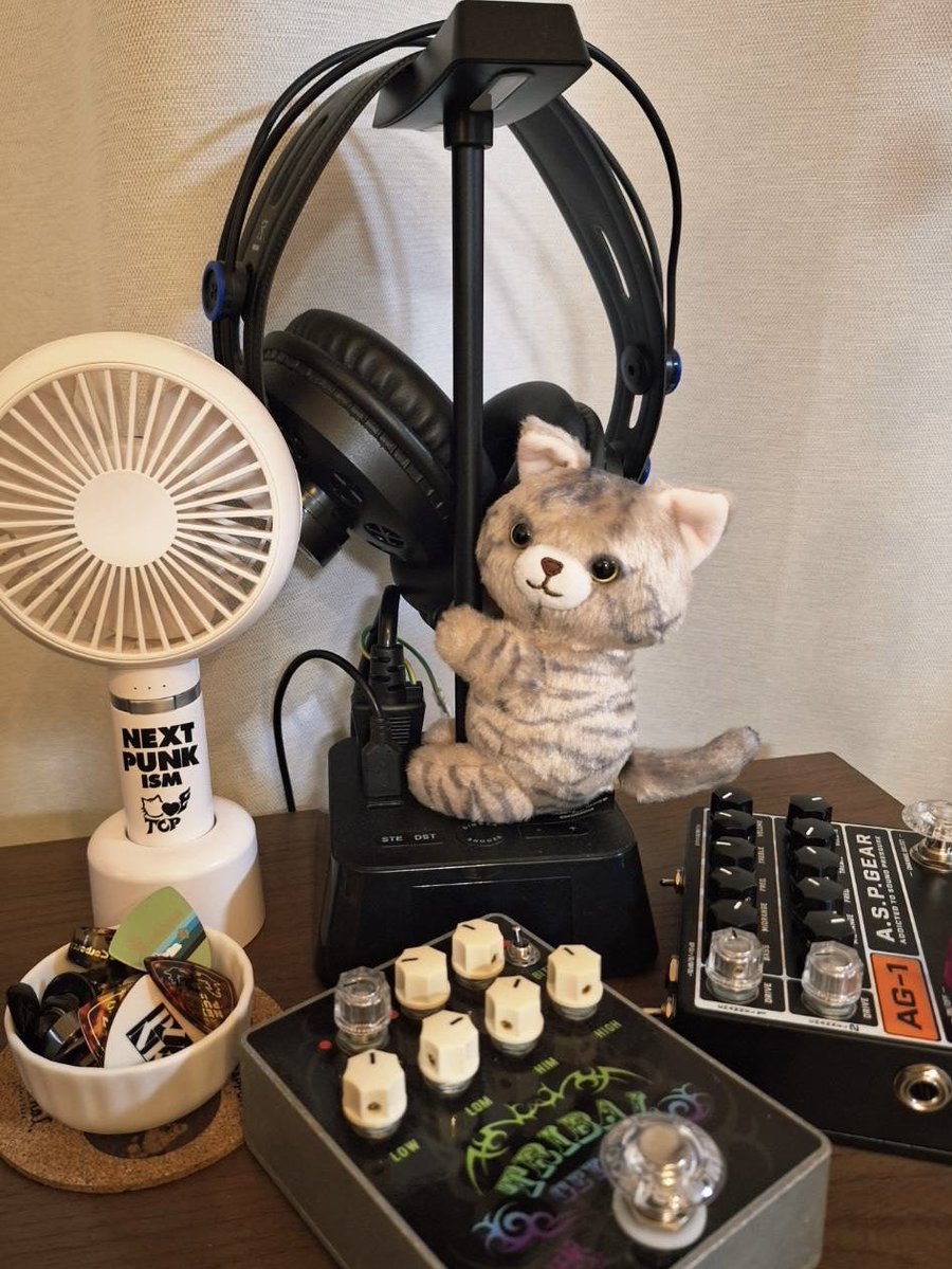 kuroyanagi440's tweet photo. note投稿したよ🐾
たまには足元を見てみよう｜黒柳 能生　公式note
▶︎https://t.co/a8ogPoNAxC #ペダルボード

暑い…湿気が凄い…
まだ5月だぜ？🐈‍⬛ https://t.co/WqUU02MPuy