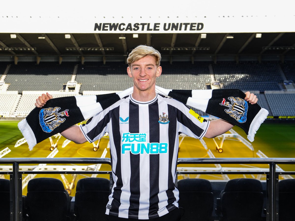 Newcastle Indonesia tweet media