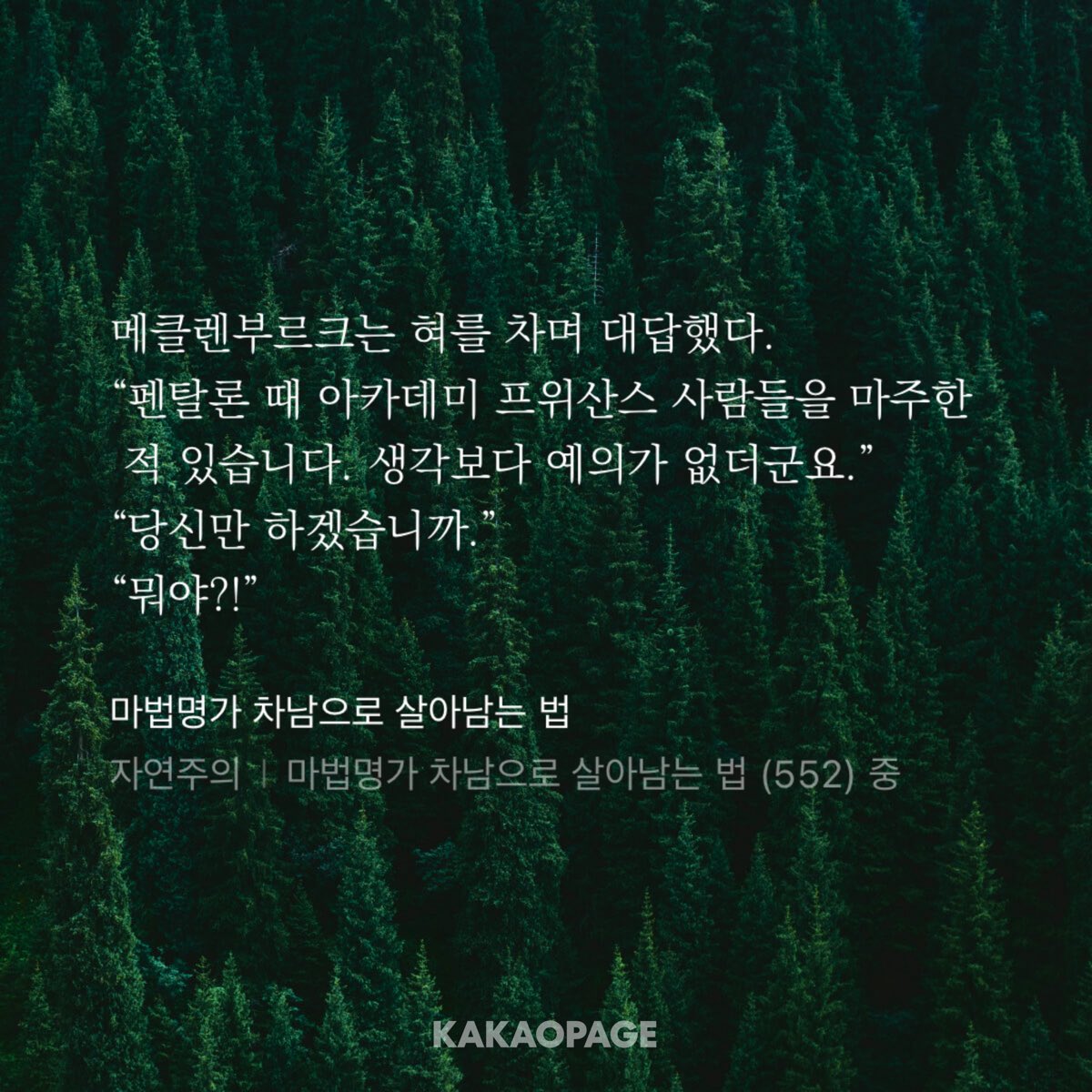 로디 tweet media