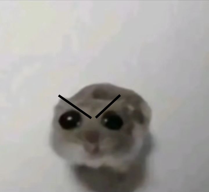 dazedxrz's tweet photo. Me rn https://t.co/gKFwaF8aLr