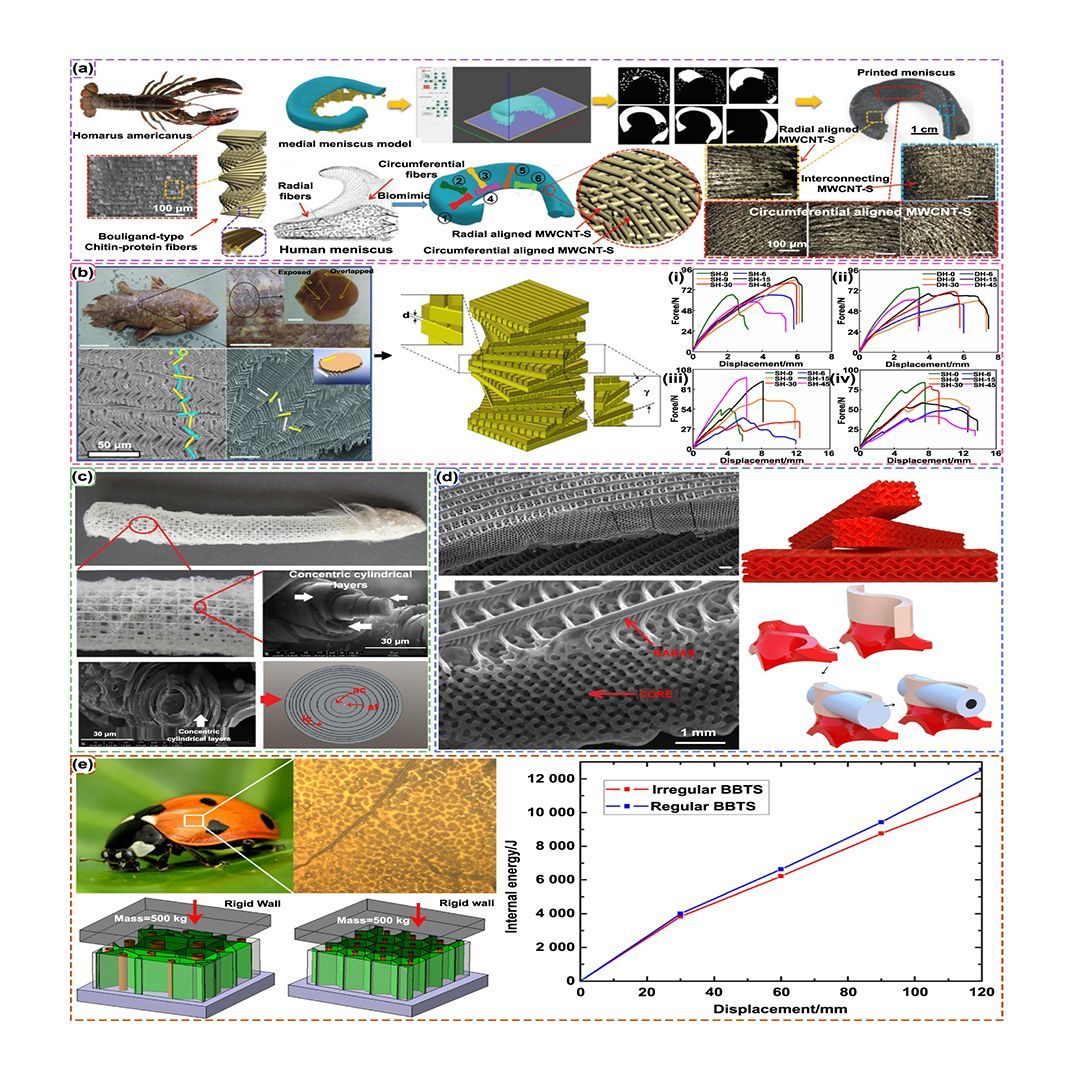IntJExtremManuf's tweet photo. This review examines #AdditiveManufacturing strategies for mechanical #Metamaterials in #Biomedical applications, emphasizing bioinspired designs, personalized implants, and #TissueEngineering advancements.
#IJEM #OpenAccess: https://t.co/qvPpfufxTc https://t.co/8L5D3ZqCGi
