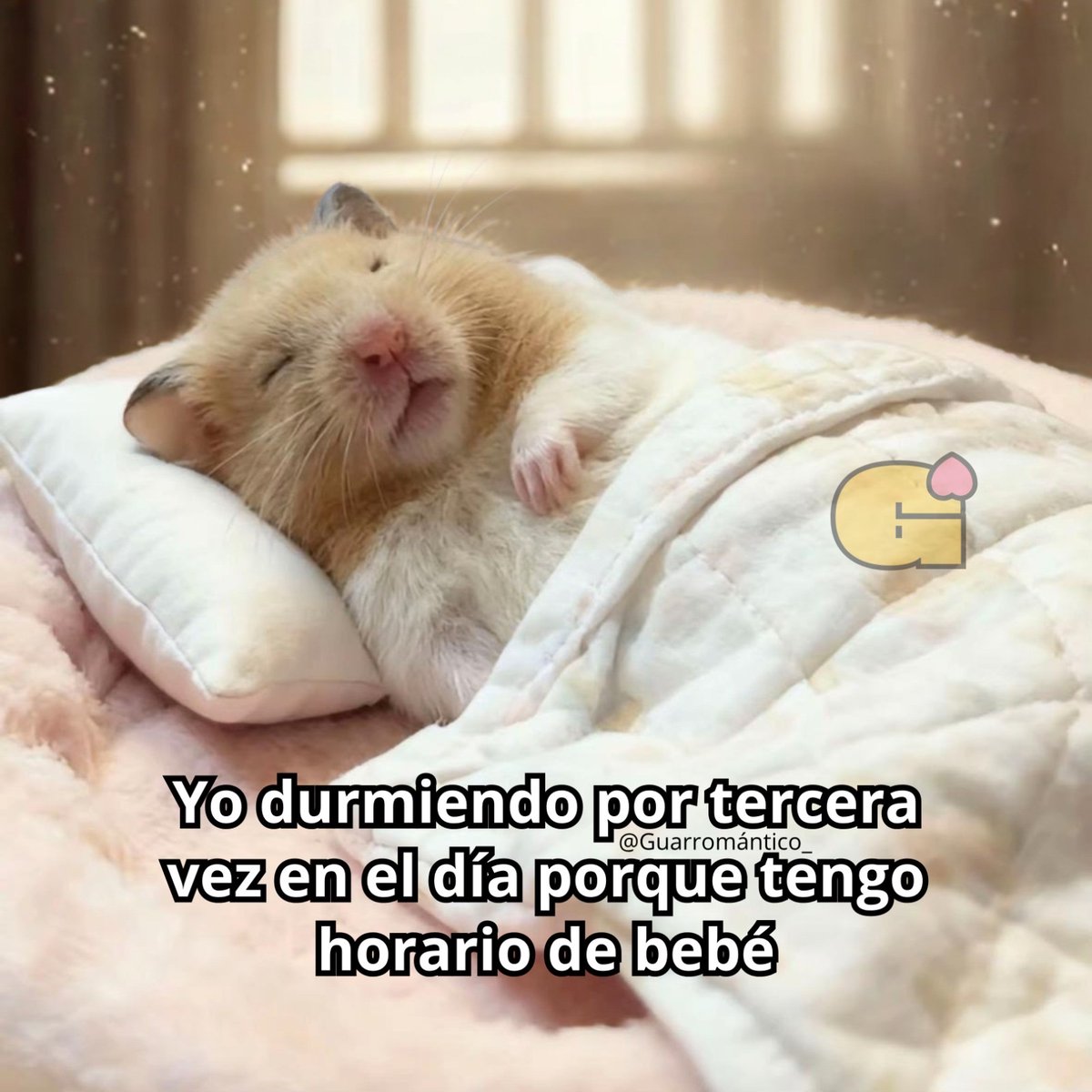 Guarromantico_'s tweet photo. Asies. https://t.co/g2fCA1LZwS