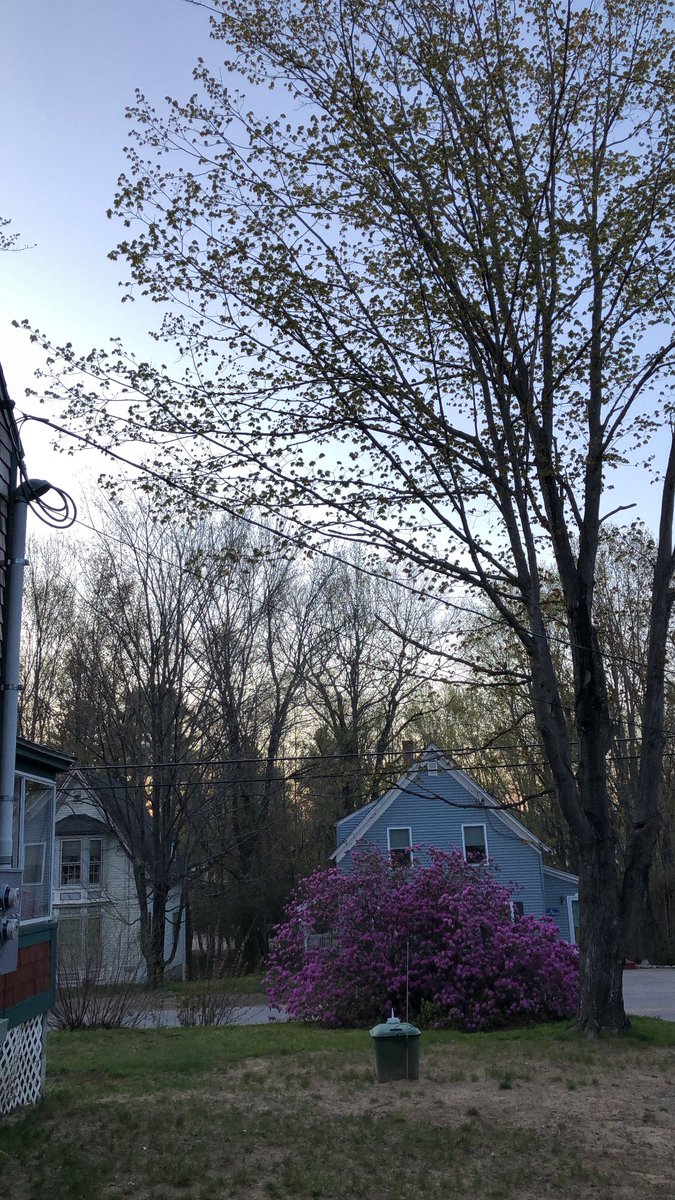 queloqueinnh's tweet photo. เราไปอยู่North Conway, NH ค่า tax ฟรีด้วย https://t.co/iyPS6c8ISG
