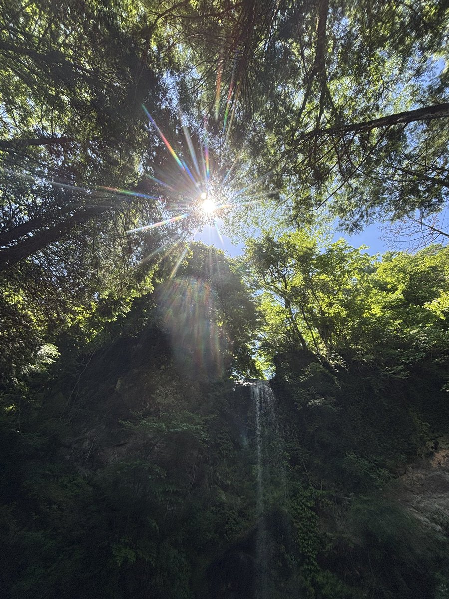 Water_fall_t's tweet photo. ５月も明日で終わり

なんだか５月はめちゃくちゃ体感長かった

来週は台風接近の予報もありますが
水量増に期待です https://t.co/M33bmJLIYL