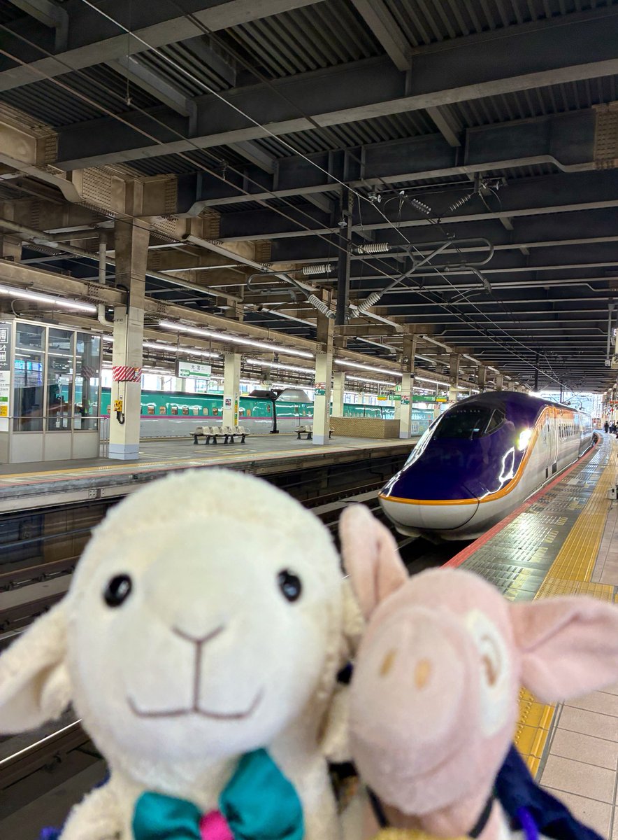 zingi_h's tweet photo. 新幹線に乗るよ🐏🐖🚄
どこに行くのかなぁ？？？ https://t.co/LRIthbYAxO