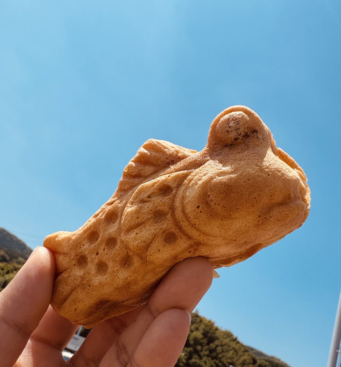 G_Yoco's tweet photo. ⠀＼　\\　　　//　／

  !! むっちゃん万十 !!

⠀／　//　　　\\　＼

という事は…

そう！「基山」まで来ました〜🚙

Kouに教えてもらってから激ハマりしてます！
最高！！

長崎まであと少し！頑張ります！ https://t.co/bcVVbeVj8r