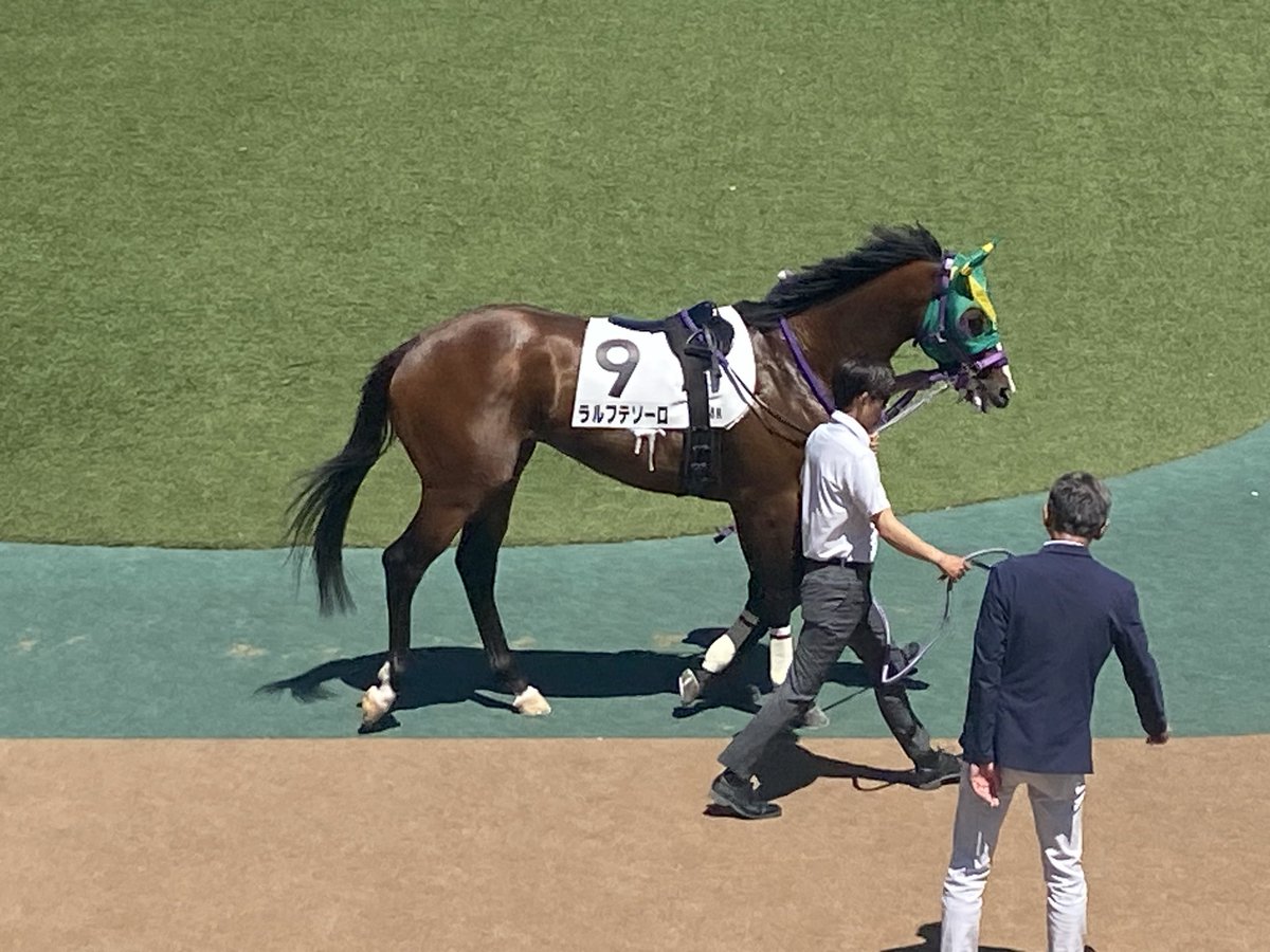 bakenXXX's tweet photo. 東京8R ◎ラルフテソーロ https://t.co/zqFp9odrm6