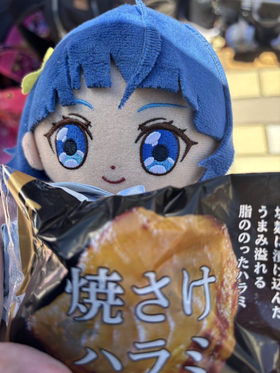 これもシャケなんですか？ 美味しいよねソラちゃん✩˚₊‧(*ˊᗜ​ˋ*)‧₊˚☆