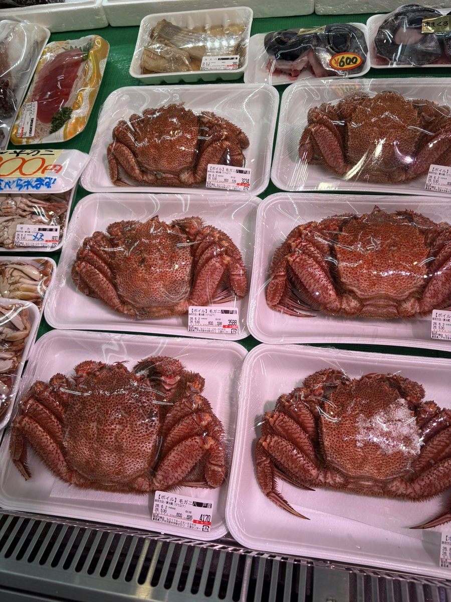 八戸に帰ってきました！ カニ食べたい🦀