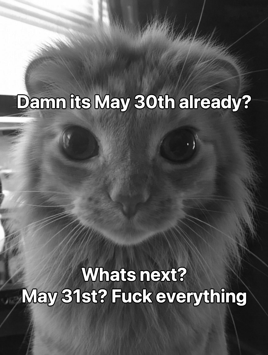 literallymecats's tweet photo. The lion fucks everything https://t.co/1NhP01UVsK