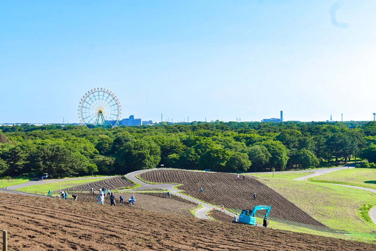 茨城県発!全国で楽しむ街コスイベント💫#きらこす 6/6〜7(花) #ひたちなか市 tweet media