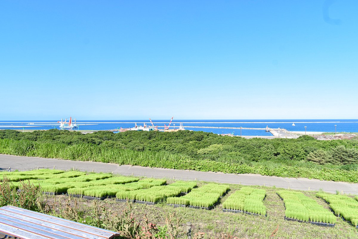 茨城県発!全国で楽しむ街コスイベント💫#きらこす 6/6〜7(花) #ひたちなか市 tweet media