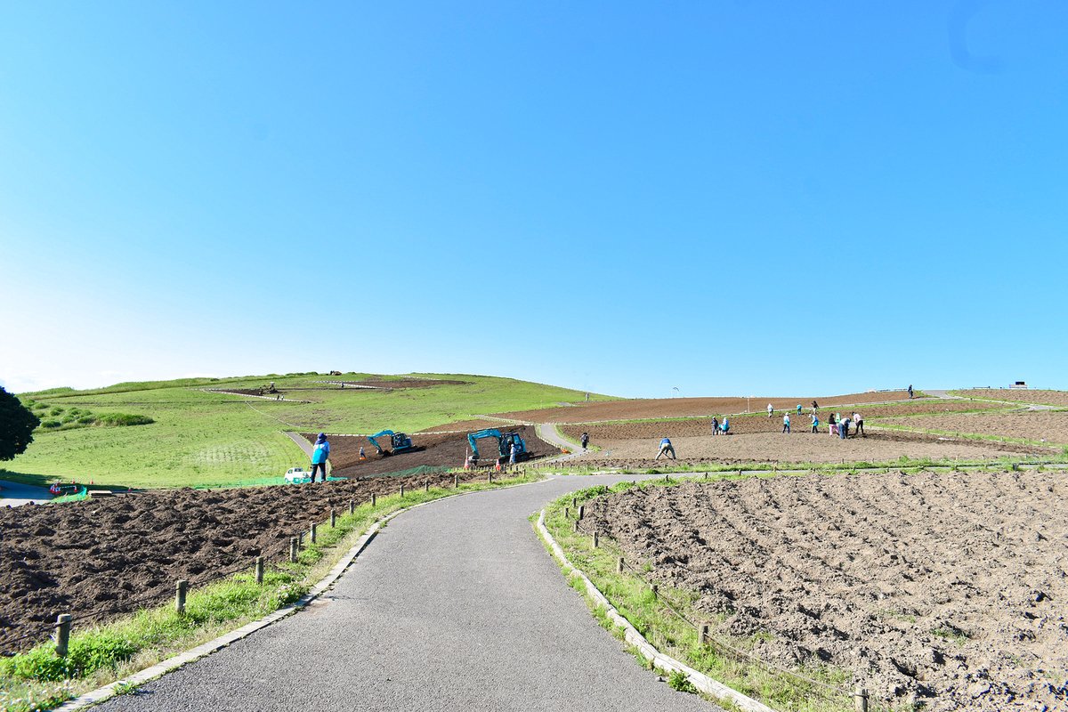 茨城県発!全国で楽しむ街コスイベント💫#きらこす 6/6〜7(花) #ひたちなか市 tweet media