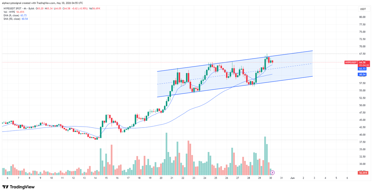 alphacryptosign's tweet photo. Thoughts on #HYPE:
$HYPE continues to respect a well-defined ascending channel, maintaining a series of higher highs and higher lows. $HYPE is currently trading near the upper boundary of the structure, showing that buyers remain in control of the trend.
A decisive breakout above the channel resistance could accelerate momentum and open the door for another leg higher. As long as the channel support holds $HYPE, the broader structure remains bullish, with a breakout being the key trigger to watch.
