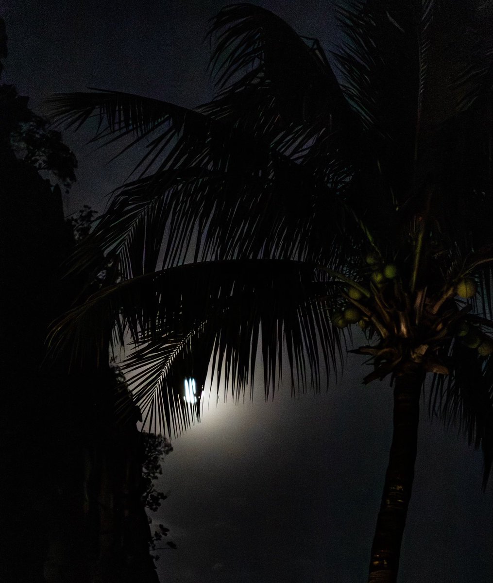 rickmarquez_'s tweet photo. Moonlight
#Cuernavaca https://t.co/ow1J7HCEox